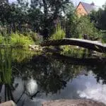 Naturteich mit Holzbrücke