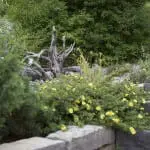 Englischer Garten