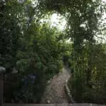 Vorgarten