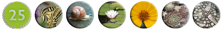 Naturnahe Gartengestaltung Würzburg und Umgebung