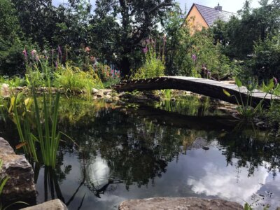 Naturteich mit Holzbrücke