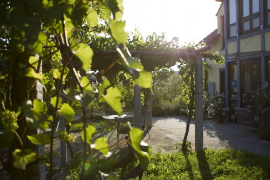 Garten-Pergola