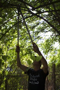 Gartenpflege Astschere