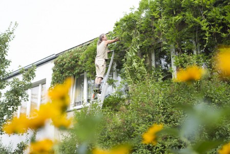 Gartenpflege Ralf Kretzer-Felske mit Leiter