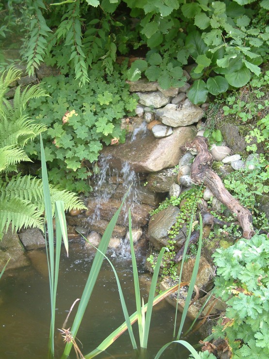 Bachlauf