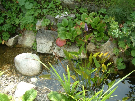 Biotop